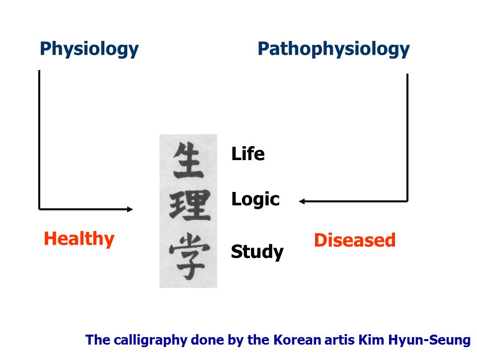 pathophysiology pdf